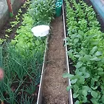 Chalupa Na Samote U Lesa