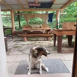 Chalupa Na Samote U Lesa Hébergement de vacances Provodov (Zlin)