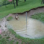 Chalupa Na Samote U Lesa * Provodov (Zlin)
