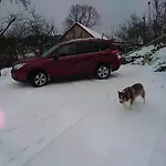 Chalupa Na Samote U Lesa *