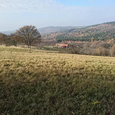Chalupa Na Samote U Lesa * Provodov (Zlin)