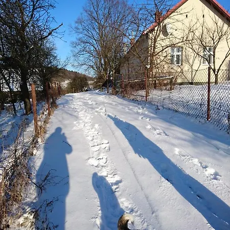 Chalupa Na Samote U Lesa