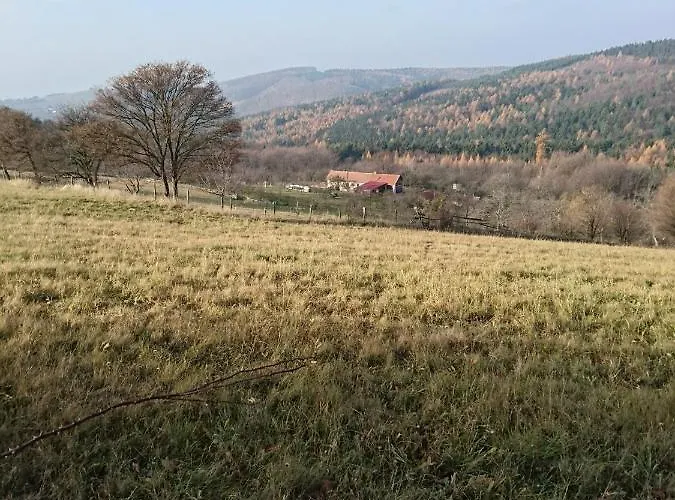 Chalupa Na Samote U Lesa * Provodov (Zlin)